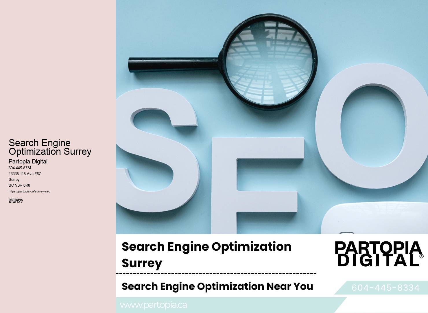 SEO Professionals for Small Businesses Search Engine Optimization Surrey