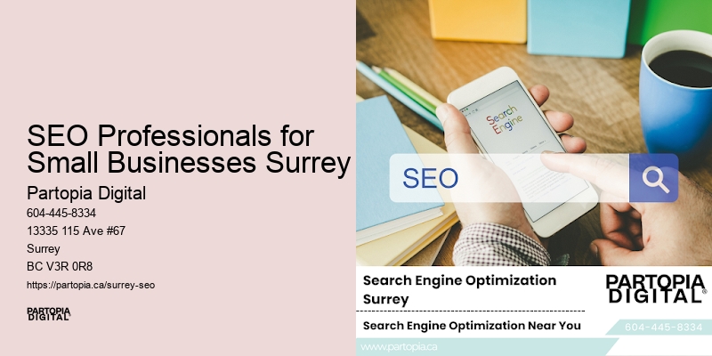 SEO Professionals for Small Businesses Surrey